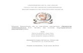 Ralstonia solanacearum E.F. Smith) del tomate (Lycopersicon …ri.ues.edu.sv/id/eprint/9461/1/13101601.pdf · 2016. 3. 16. · UNIVERSIDAD DE EL SALVADOR FACULTAD DE CIENCIAS AGRONÓMICAS