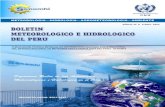 METEOROLOGIA—HIDROLOGIA—AGROMETEOROLOGIA…wamis.bo.ibimet.cnr.it/countries/peru/PER200306.pdf · METEOROLOGIA—HIDROLOGIA—AGROMETEOROLOGIA—AMBIENTE AÑO III, Nº 6 JUNIO,