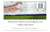 Eficiencia Hídrica y Energética en riegos agrícolas...la mejora de la eficiencia operativa y la unidad de acción del sector. GóGracias por su atención Title Microsoft PowerPoint