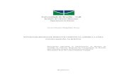 Universidade de Brasília UnBbdm.unb.br/bitstream/10483/19942/1/2017... · do Plan Nacional de Desarrollo: Bolivia digna, soberana, productiva y democrática para Vivir Bien (2006