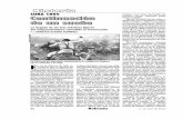 CUBA 1895 Continuación de un sueño - Revista Bohemiabohemia.cu/wp-content/uploads/2020/04/pag-54-56-historia-1.pdf54 17 de abril de 2020 E L 24 de febrero de 1895 co- menzó lo que