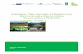 Valoración Plan Nacional de Gestión e la Biodiversidad y Sus … · 2019. 12. 21. · 2 INTRODUCCIÓN El Plan nacional de gestión integral de la biodiversidad1 y sus servicios