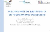 MECANISMES DE RESISTÈNCIA EN Pseudomonas aeruginosa...CEFTO/TAZO 90-95% Mi wi, Yu . et al.. Antimicrobial Agents Chemotherapy 2018 Gener 62(1) 1970- 17 Mulet, X. et al. (2017). Comunicació