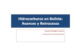 Hidrocarburos en Bolivia: Avances y Retrocesos...2012/12/06  · • YPFB – SERGEOMIN concluyen el mapa geológico de Bolivia a una escala 1:1.000.000. • YPFB estima el potencial