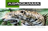 Boletín ASOGUAMA 20160607cdc.usac.edu.gt/wp-content/uploads/2016/09/...de política nacional que afectan poblaciones de mamíferos silvestres, etc. Está pensado para aquellos y aquellas