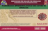 PANORAMA EPIDEMIOLOGICO DE COVID-19 SINALOAsaludsinaloa.gob.mx/wp-content/uploads/2020/reportescovid/Covid1… · SUBDIRECCION DE EPIDEMIOLOGIA PANORAMA EPIDEMIOLOGICO DE COVID-19