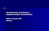 Acantholytic acanthoma (Epidermolytic acanthoma) · Acantholytic acanthoma (Epidermolytic acanthoma) Deba P Sarma, MD Omaha M 60, solitary keratotic papule, scrotum Comment Benign