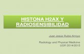 HISTONA H2AX Y RADIOSENSIBILIDADradiologyandphysicalmedicine.es/wp-content/uploads/2015/... · 2017. 7. 3. · HISTONA H2AX Una de las múltiples variantes de la histona H2A. Se fosforila