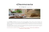 Osmosis...Osmosis L´origen experience En L´Origen Osmosis cocinamos para haceros llegar nuestro ADN, nuestra filosofía, las cocciones largas, los sabores, aromas y texturas. Osmosis