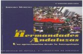 EDICION AMPLIADA ISIDORO MORENO Las Andaluzas na ...isidoromoreno.es/uploads/articulos/16. LAS HERMANDADES...Funciones manifiestas de las hermandades: el modelo consciente . Funciones