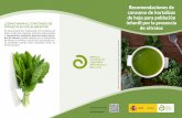 Recomendaciones de consumo de hortalizas de hoja para ......la Autoridad Euro-pea de Seguridad Alimentaria (EFSA) sobre nitratos en hortalizas, los hábi-tos de consumo y las recomendaciones