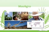 CMDRS - MasAgro...2018/11/09  · MasAgro Maiz Estrategia Internacional para Aumentar el Rendimiento del Maíz 3.- MasAgro Biodiversidad Descubriendo la Diversidad Genética de las