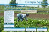 4 de mayo de 2012 Trabajo Rural: Transformar y valoraragrariaraigon.orgfree.com/Tiempo_Agrario_030.pdf · para que se involucren en la ges-tión. Como ejemplo, recordó que la ruta
