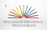 RECURSOS NATURALS RENOVABLES...2015/02/02  · poques Instal·lacions a Espanya; Almería, amb la central solar de Taberna, Huelva i Tenerife presenten les localitzacions òptimes.