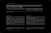 Expresión de CD44 variantes 3, 6 y 9 en carcino- ma ...€¦ · Expresión de CD44 variantes 3, 6 y 9 en carcinoma urotelial de vejiga y su asociación con invasión a muscular propia