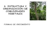 6. ESTRUCTURA Y ORGANIZACIÓN DE COMUNIDADES VEGETALES · 2020. 10. 27. · -Estructura de comunidades terrestres. Notable y más variada MEDIANTE LA CARACTERIZACIÓN DE CLASES DE