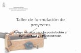 Taller de formulación de proyectosbiblioteca.esucomex.cl/RCA/Taller de formulación de...Taller de formulación de proyectos Apoyo técnico para la postulación al Premio Azul y FDI-MINEDUC.