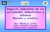 Impacto ambiental de las actividades industriales y urbanas · 2019. 4. 11. · Impacto ambiental de las actividades industriales y urbanas Metales y arsénico Dra. Marta I. Litter
