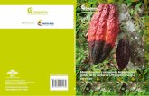 Identificación y manejoalejandria.ufps.edu.co/descargas/tesis/Cacao.pdf · 2017. 4. 20. · Contenido Presentación 9 Introducción 11 Identificación y manejo de la pudrición parda
