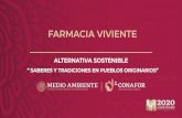 FARMACIA VIVIENTE - gob.mx€¦ · La farmacia viviente como un espacio físico transformado en laboratorio natural donde, mediante la interacción directa con las plantas y el ambiente,