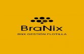 BNX GESTIÓN FLOTILLA - BraNix · 2019. 10. 22. · pueden ser reportadas por correo electrónico o SMS. Lo único que necesita para acceder a BNX Gestión de Flotilla es una conexión