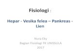 Fisiologi : Hepar Vesika felea Lien Pankreas Enterohepatik.pdf · Bagian Fisiologi FK UNISSULA 2017 •The liver is the largest organ in the body, 2% dari total BB (1.5 kg) orang
