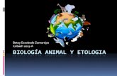 Betzy Escobedo Zamarripa Cobaeh 2013-A BIOLOGÍA ANIMAL Y ...€¦ · ANIMALES VERTEBRADOS Los vertebrados son un grupo de animales con un esqueleto interno articulado, que actúa