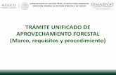 Presentación de PowerPoint€¦ · de la LGEEPA, en su modalidad particular, con la de aprovechamiento de recursos forestales que se realice en selvas tropicales mayores a 20 hectáreas;