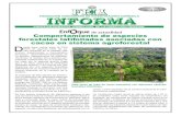 de actualidad Comportamiento de especies forestales ...fhia.org.hn/dowloads/fhia_informa/fhia_informa_junio_2018.pdf · Al estandarizar la edad de las especies forestales evalua-das