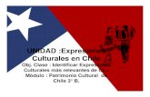 UNIDAD :Expresiones Culturales en Chile · 2020. 4. 7. · Los Mapuches “Mapuche” que en idioma mapudungun significa “gente de la tierra”. Es la étnia más numerosa de Chile.Los