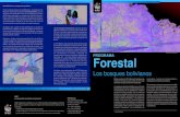 © WWF / Gustavo YBARRA PROGRAMA Forestal...Los bosques bolivianos 1 • En el mercado internacional: Enlazando la oferta boliviana certificada y en proceso hacia la certificación