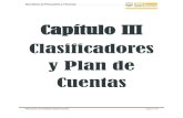 Capítulo III Clasificadores y Plan de Cuentasspf.bajacalifornia.gob.mx/finanzas/acercade/doctos/ceac... · 2020. 1. 10. · Secretaría de Planeación y Finanzas Manual de Contabilidad