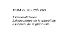 TEMA IV. GLUCÓLISIS 1.Generalidades 2.Reacciones de la ...depa.fquim.unam.mx/amyd/archivero/Glucolisis_31769.pdfLa conversión de glucosa en piruvato es exergónica: 2ADP + 2Pi 2