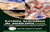 REVISTA ARGENTINA DE ANATOMÍA ONLINE · 2018. 10. 8. · REVISTA ARGENTINA DE ANATOMÍA ONLINE. Publicación de la Asociación Argentina de Anatomía. Órgano Oficial de la Asociación
