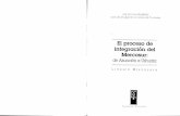 El proceso de integración del Mercosur...ralización comercial, la profundización del proceso de in tegración, las relaciones con otros países, bloques regio nales y organismos