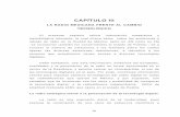 CAPÍTULO III - Universidad de las Américas Pueblacatarina.udlap.mx/u_dl_a/tales/documentos/lco/martinez_r... · 2007. 11. 15. · canciones y álbumes de música. En pocos meses