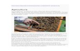 Apicultura...factores climáticos, el avance de la agricultura y con ello las consecuencias del uso de los agrotóxicos, el avance del mercado asiático en la apicultura y el aumento,