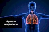 Presentación de PowerPoint...•Faringitis •Laringitis •Bronquitis •Pulmonía o Neumonía •Enfisema pulmonar •Cáncer •Tuberculosis. Cáncer pulmonar • Tumor maligno