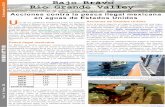 Bajo Bravo Rio Grande Valley - WordPress.com · 2019. 11. 29. · Operativo de la SEMAR en Playa Bagdad contra la pesca ilegal (octubre 2019) Fuente: SEMAR (La Jornada) sector de