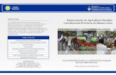 ESTRUCTURA Subsecretaría de Agricultura Familiar Coordinación … · 2010. 6. 14. · condiciones de vida rescatando las experiencias de los diferentes programas y las historias