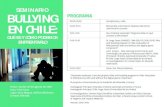 SEMINARIO BULLYING PROGRAMA EN CHILE...*Seminario realizado a raíz del proyecto KiVa anti-bullying program in Chile: Evaluation of e˜ectiveness with and without the digital game
