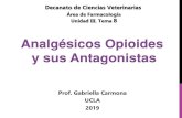 Analg£©sicos Opioides y sus Antagonistas 2019. 11. 29.¢  Analg£©sicos Opioides y sus Antagonistas
