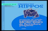 PROXECTO HIPPOS - morcegosdegalicia.orgmorcegosdegalicia.org/media/documentos/Unidade... · O Proxecto Hippos é unha iniciativa de Morcegos de Galicia e a Funda- ... Antártida c)