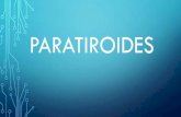 Paratiroidess4f1d769cf586f6c7.jimcontent.com/download/version... · 2015. 11. 9. · denomina hiperparatiroidismo y el nivel de calcio en la sangre aumenta. En muchos casos, un tumor