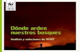Dónde arden nuestros bosques...WWF España 2016 . Dónde arden nuestros bosques. Análisis y soluciones de WWF . Página 5 Los incendios de un vistazo. en Galicia y Asturias donde
