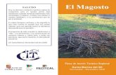 El Magosto - CIT Santa Marina del Sil (Inicio) · 2020. 11. 9. · El Magosto Fiesta de Interés Turístico Regional Hoy no abrimos cantando nuestras coplas de costumbre, pero en