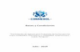 Julio - 2019 - CONMEBOL · 2019. 7. 30. · CONMEBOL Pliego de Bases y Condiciones Contratación de Agencia para Producción de Sorteo de las Copas CONMEBOL Libertadores y CONMEBOL