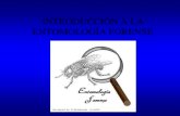 INTRODUCCIÓN A LA ENTOMOLOGÍA FORENSEfcen.uncuyo.edu.ar/catedras/presentacion-entomologia-forense-fer.pdf · •Primer antecedente en un manual de Medicina Legal chino del s. XIII: