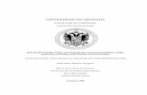 UNIVERSIDAD DE GRANADAhera.ugr.es/tesisugr/16236208.pdf · Obtención del medio condicionado para el cultivo de macrófagos 45 Extracción de linfocitos murinos de bazo 45 3. Ensayos