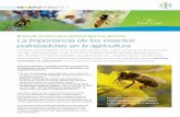 Buscando modelos para optimizarsistemas agrícolas La Importancia de … · 2020. 3. 6. · algunas partes de Brasil, mientras que en Israel se sabe que los abejorros y las moscas